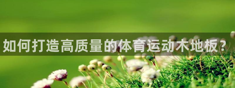 vsport体育官网下载平台是正规平台吗知乎：如何打