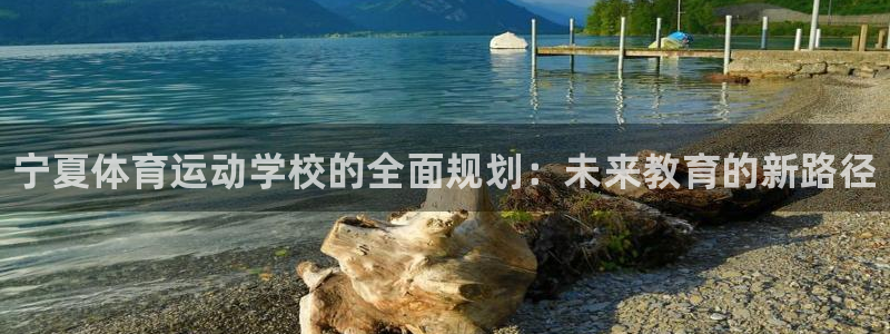 vsport体育官网下载