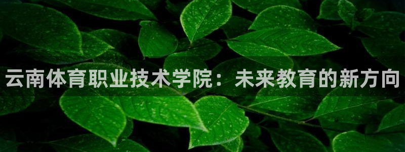 vsport体育官方正版app娱乐是那个系列的台子：