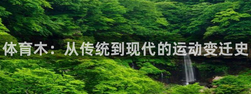 vsport体育官方正版app集团官网首页网址：体育