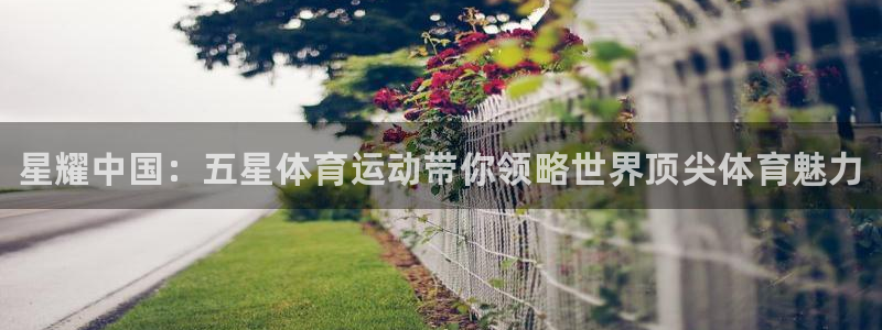 vsport体育官方正版app娱乐平台：星耀中国：五