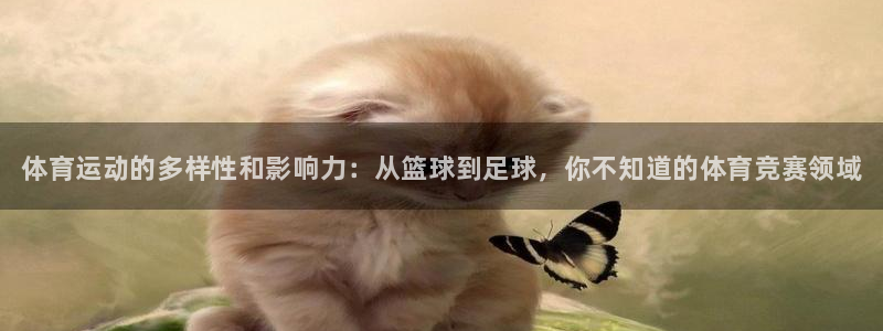 vsport体育官网下载招商电话号码是多少啊：体育运