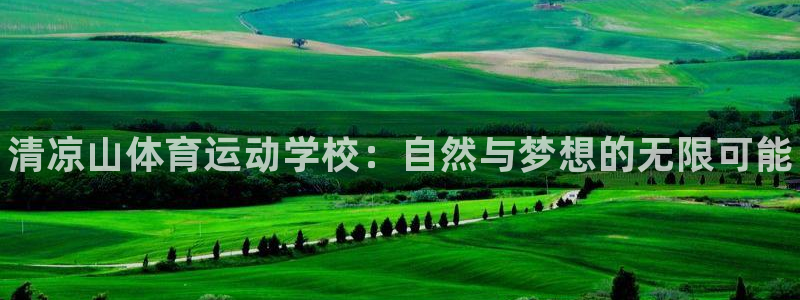 vsport体育官网下载平台注册要钱吗安全吗：清凉山体育运动