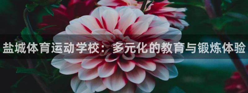 vsport体育官网下载平台APP：盐城体育运动学校