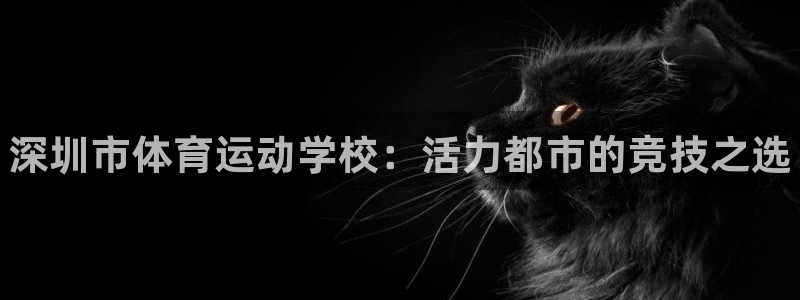vsport体育官方正版app娱乐首页官网下载：深圳