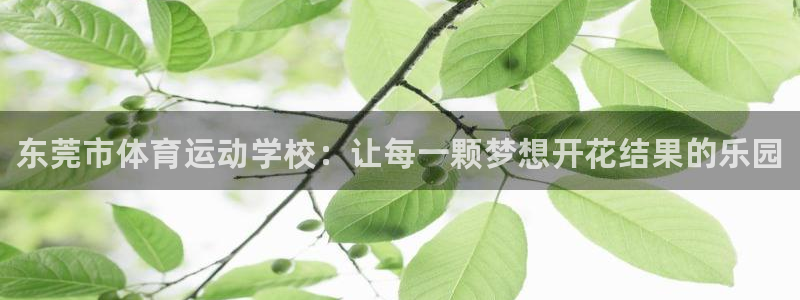 vsport体育官方正版app娱乐40996：东莞市
