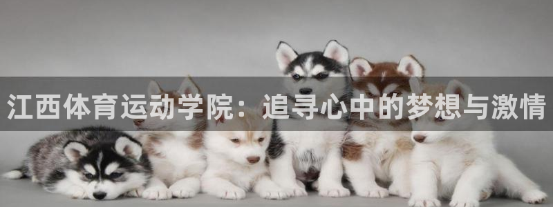 vsport体育官方正版app集团E.ON：江西体育运动学院