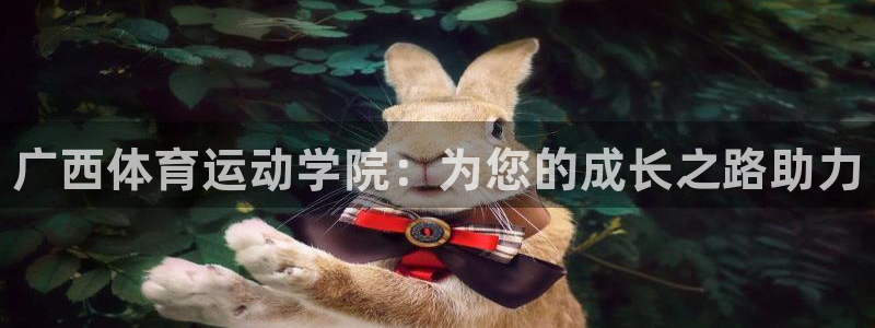 vsport体育官方正版app集团E.ON：广西体育运动学院