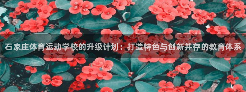 vsport体育官网下载招商电话号码是多少号：石家庄体育运动