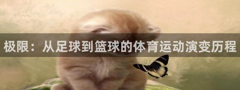 vsport体育官网下载