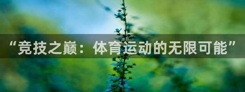 vsport体育官方正版app娱乐网站