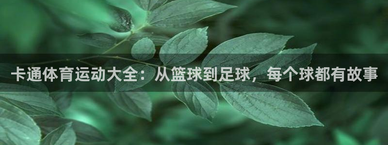 vsport体育官方正版app新能源