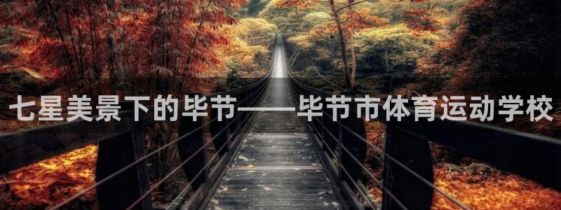 vsport体育官方正版app娱乐下载：七星美景下的毕节——