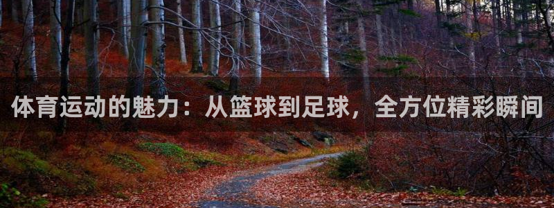 vsport体育官方正版app科技：体育运动的魅力：