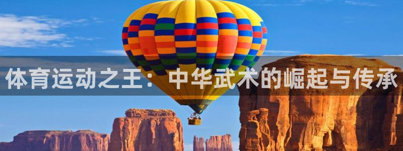 vsport体育官方平台体育：体育运动之王：中华武术