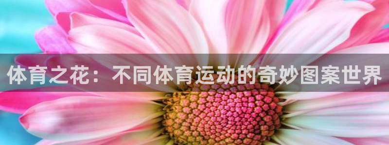 vsport体育官方正版app集团：体育之花：不同体