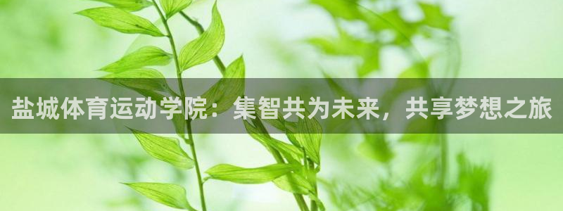 vsport体育官网下载官方客服电话：盐城体育运动学