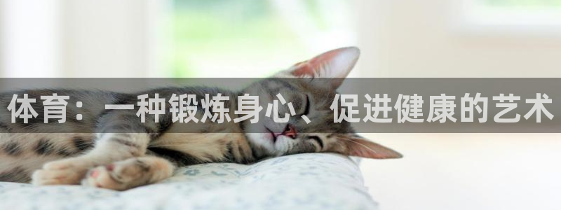 vsport体育官方正版app官方：体育：一种锻炼身