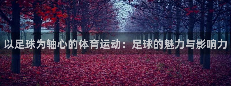 vsport体育官网下载平台：以足球为轴心的体育运动