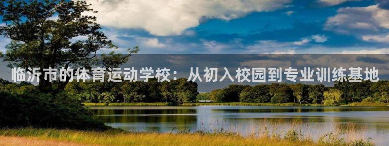 vsport体育官网下载平台注册流程图：临沂市的体育
