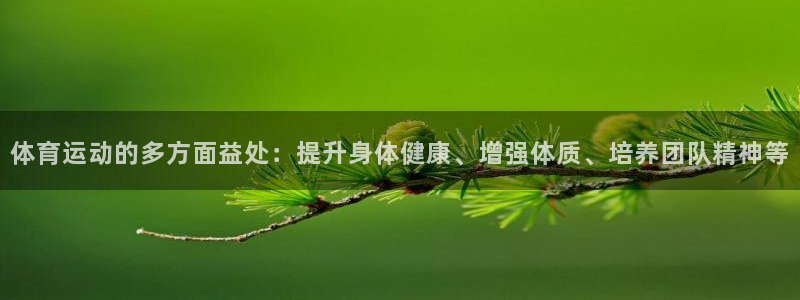 vsport体育官网下载招商电话是多少：体育运动的多