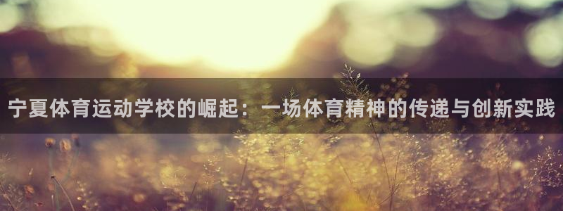 vsport体育官网下载平台注册要钱吗安全吗：宁夏体