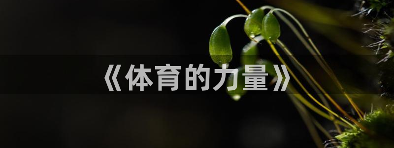 vsport体育官网下载招商电话号码：《体育的力量》