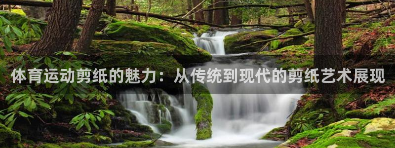 vsport体育官网下载招商电话是多少：体育运动剪纸