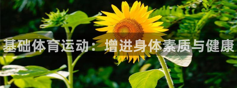 vsport体育官网下载招商电话号码是多少