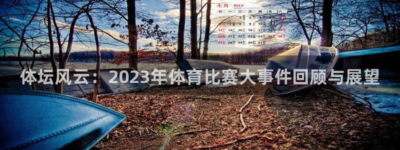 vsport体育官网下载平台注册要钱吗安全吗：体坛风云：20