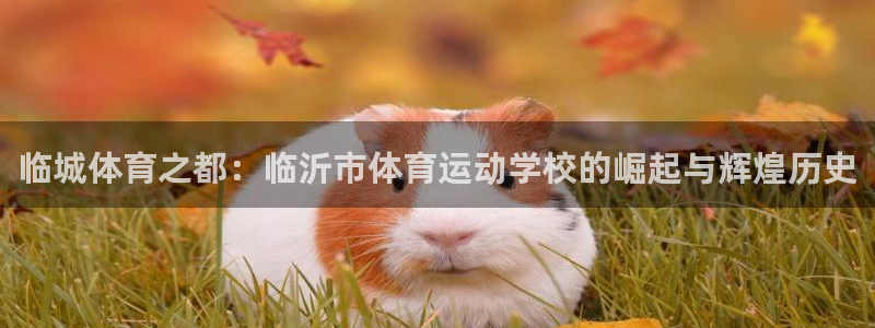 vsport体育官网下载招商电话地址：临城体育之都：临沂市体